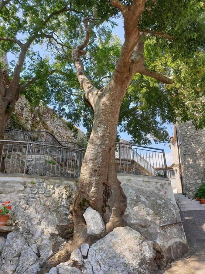 Casa Di Mamma Rosa Villa Castelnuovo Parano Buitenkant foto
